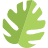 biology icon